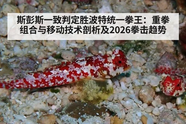 斯彭斯一致判定胜波特统一拳王：重拳组合与移动技术剖析及2026拳击趋势